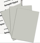 PAPEL CARTULINA CARTA COLOR GRIS PAQUETE DE 50 HOJAS