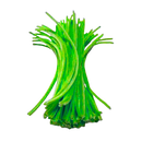 CHENILLES 6 mm X 12" VERDE LIMA PQ-30