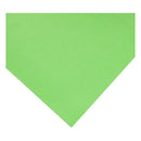 FOAMY LISO 8" x 11 ¾" COLOR VERDE LIMA FORCE