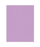 FOAMY LISO 8" x 11 ¾" VARIEDAD DE COLORES A ESCOGER EA