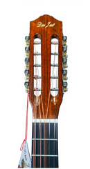 CUATRO DON JOSE  CON PICKUP DJ-C725EQ-NT
