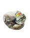 CARACOLES VARIADOS DE 128G TOP GRADE
