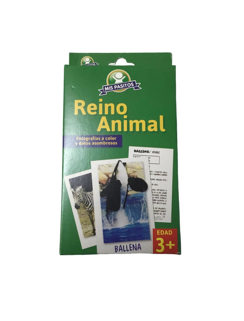 FLASH CARDS REINO ANIMAL MIS PASITOS
