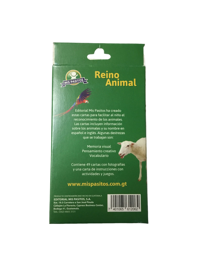 FLASH CARDS REINO ANIMAL MIS PASITOS