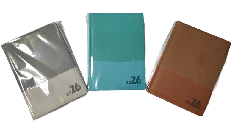 AGENDA DIARIA GRANDE 2026 COLORES SURTIDOS METACOLOR