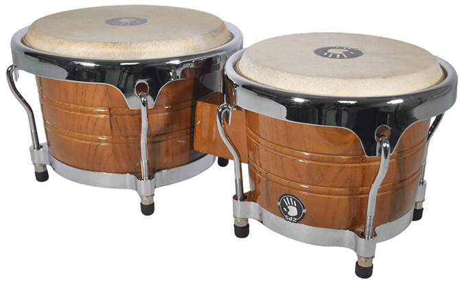 BONGO PROFESIONAL 5d2 PERCUSSION