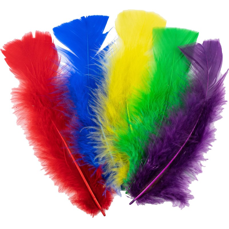 PLUMAS PEQUEÑAS DE COLORES BRILLANTES PQ. 8G