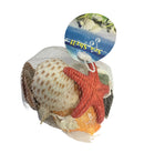 CARACOLES VARIADOS 300G