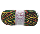 HILO DE TEJER DE 100 G MOLLET MULTI COLOR MATIZADO